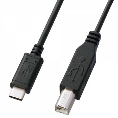 강원전자 산와서플라이 USB2.0 CM-BM 케이블 1m KU-CB10