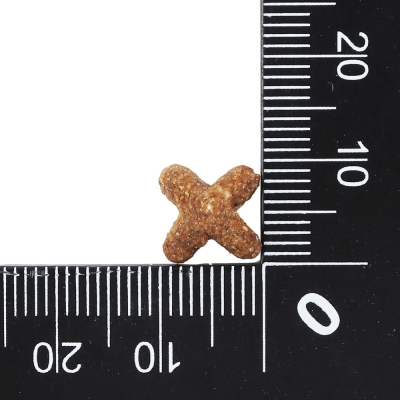 닥터클라우더 하이 프리미엄 캣 인도어 4kg