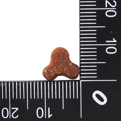 닥터클라우더 하이 프리미엄 캣 키튼 4kg