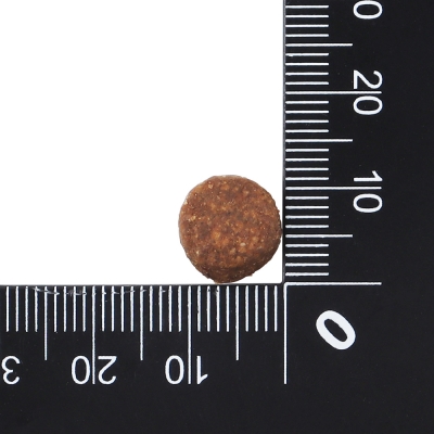 닥터클라우더 하이 프리미엄 캣 그레인프리 400g