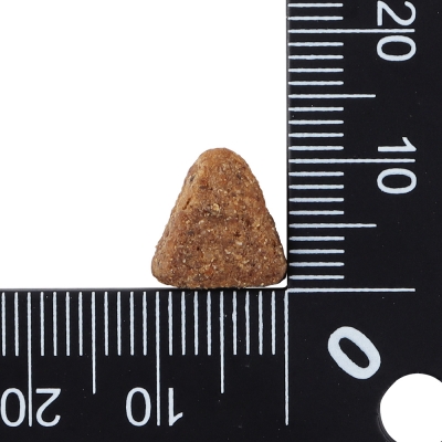 닥터클라우더 베스트 초이스 어덜트 생선&쌀 1.4kg