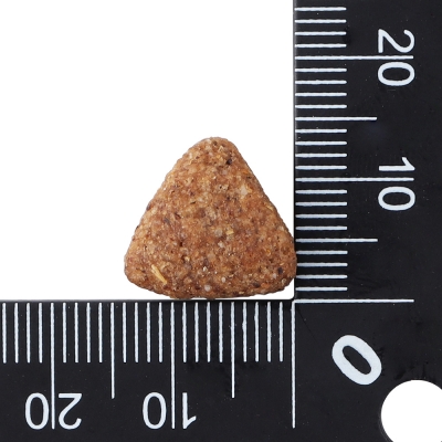 닥터클라우더 베스트 초이스 어덜트 연어&쌀 1.4kg