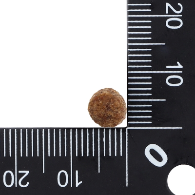 닥터클라우더 베스트 초이스 어덜트 미니 2kg