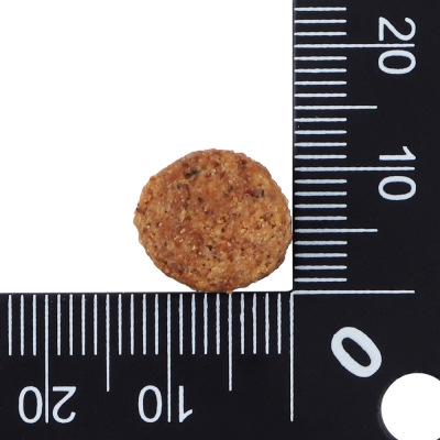 닥터클라우더 피부모질 FSD 다이어트 1kg