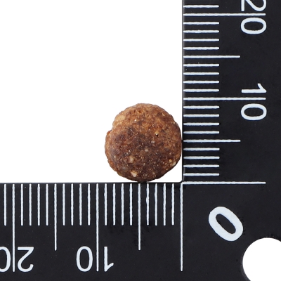 닥터클라우더 베스트 초이스 주니어 미디엄 8kg