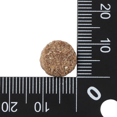 닥터클라우더 베스트 초이스 시니어 라이트 8kg