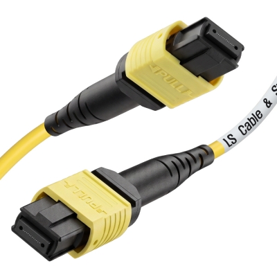 LS전선 SM 12C MPO 광점퍼코드 10m LS-MTC-FF-SM-12ZB-010
